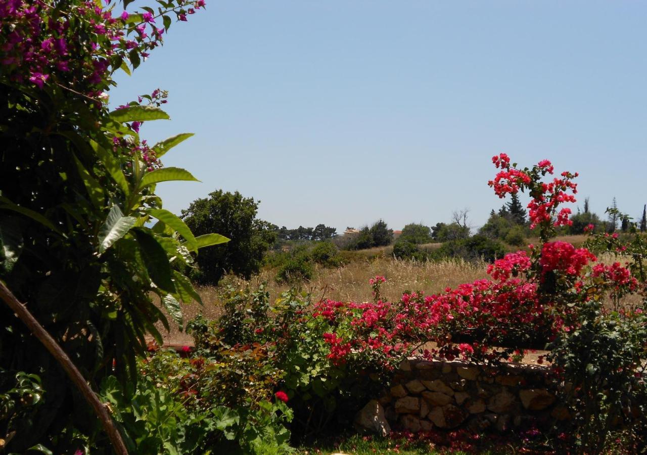 Skala  Livadaki Village Hotel מראה חיצוני תמונה