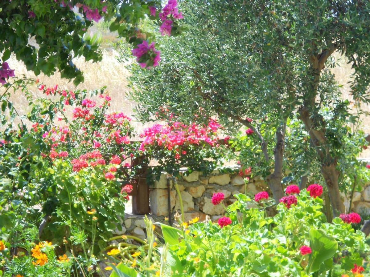 Skala  Livadaki Village Hotel מראה חיצוני תמונה