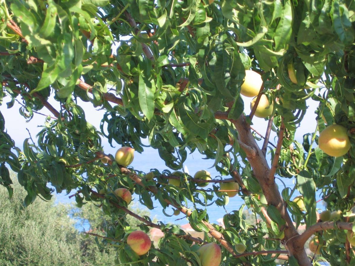 Skala  Livadaki Village Hotel מראה חיצוני תמונה